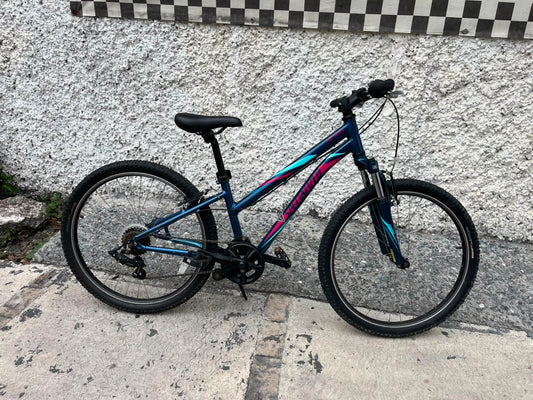 SPECIALIZED HOT ROCK rodada 24